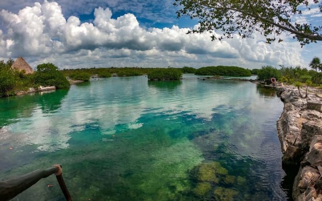 Private Yal-ku and Akumal Experience photo 4