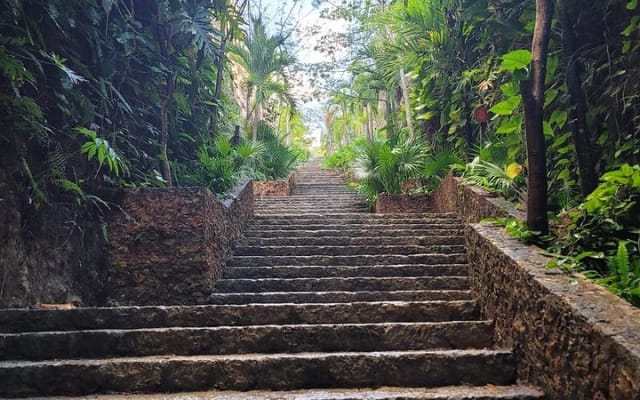 Desde Mérida, Ciudadela de Chichén Itzá, cenote Tsukan con Izamal photo 4