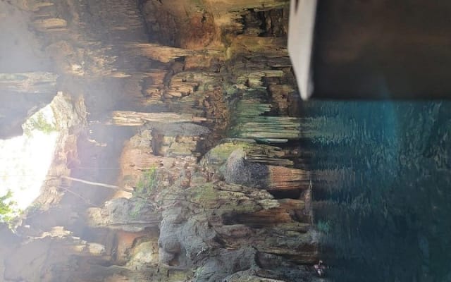 Desde Mérida, Ciudadela de Chichén Itzá, cenote Tsukan con Izamal photo 5