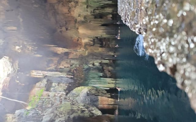 Desde Mérida, Ciudadela de Chichén Itzá, cenote Tsukan con Izamal photo 6
