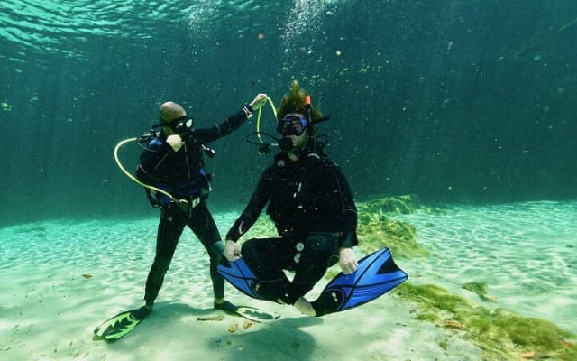 Wonders of the Underwater World: Discover Scuba Diving in Tulum photo 2