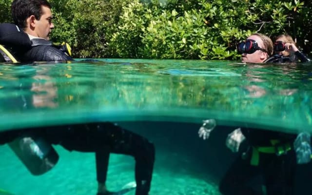 Wonders of the Underwater World: Discover Scuba Diving in Tulum photo 6