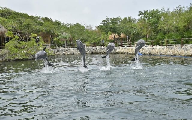 All-Inclusive Xel-Ha Park: Exclusive from Tulum photo 12