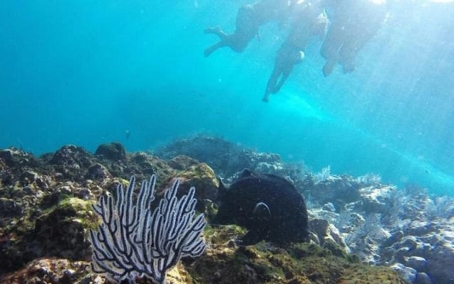 Guaranteed Hidden Beach • Small Group Tour • Punta Mita photo 13