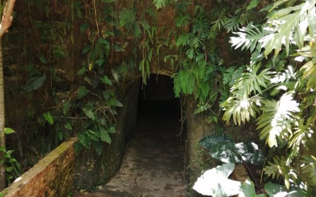 Chichen Itza, and Cenote Tsukán PREMIUM photo 2
