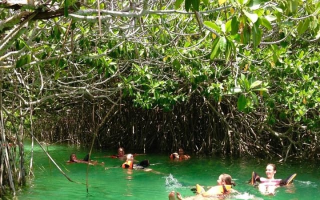 Sian Kaan Natural Reserve and Muyil Mayan Ruins from Tulum photo 15