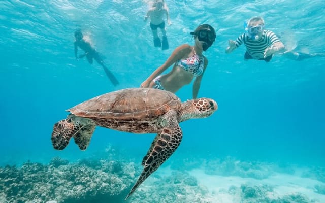 Tulum Snorkeling Tour in Front of the Mayan Castle photo 9