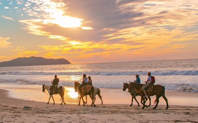 Paseo a caballo en Sayulita por senderos de selva hasta la playa photo 3