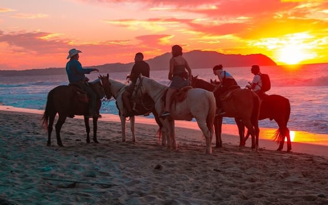 Paseo a caballo en Sayulita por senderos de selva hasta la playa photo 12