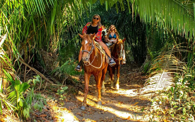 Paseo a caballo en Sayulita por senderos de selva hasta la playa photo 4