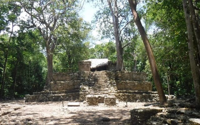 Muyil Ruins Tour (Private, Half Day) photo 6