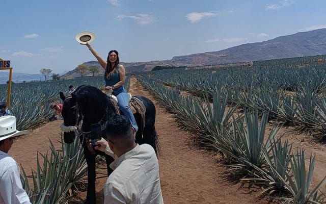 Visite privée de Tequila : distillerie artisanale et champs d'agave photo 12
