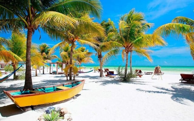 Isla Holbox All Inclusive with Transportation (Breakfast and Food Included) photo 5