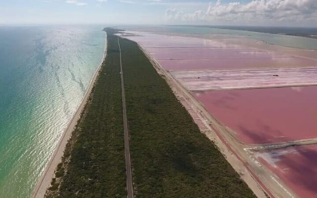 Las Coloradas Amazing Pink Lake & Rio Lagartos from Tulum photo 15