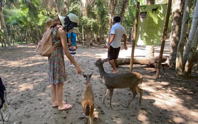 Excursion d'une demi-journée à Ventanilla, Mazunte, Zipolite et Puerto Ángel photo 10