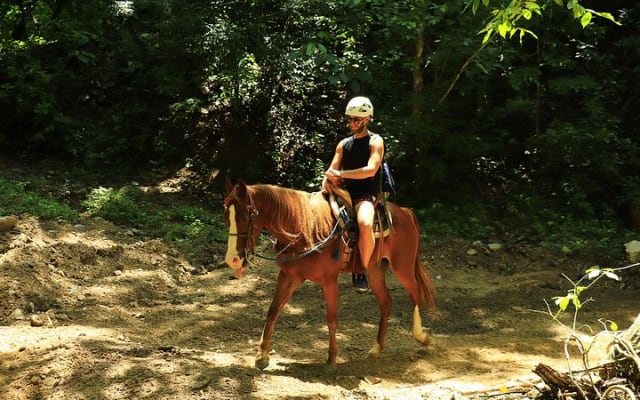 Paseo a caballo por las montañas de Puerto Vallarta photo 5