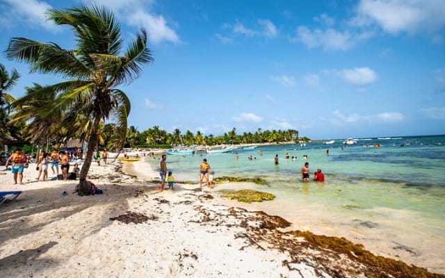 From Tulum: Akumal Beach Swim and Snorkel with Turtles Experience photo 8
