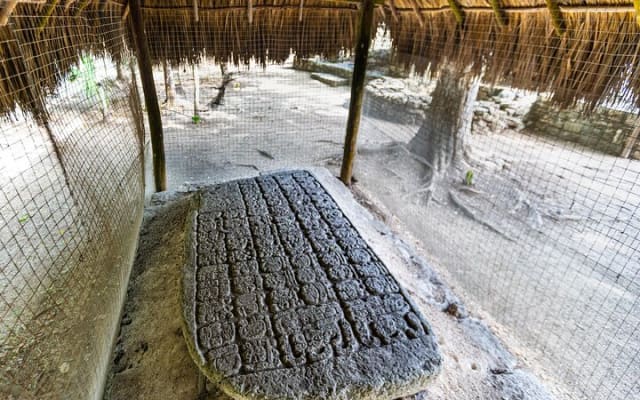 Half a Day Tour to Coba Ruins with Cenote and Mayan Village photo 4