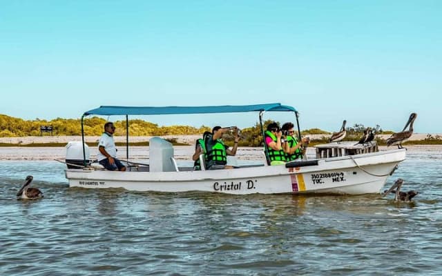 Coloradas Adventure and Cancunito Beach Tour from Merida photo 5