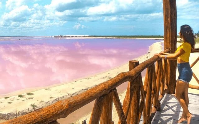 Coloradas Adventure and Cancunito Beach Tour from Merida