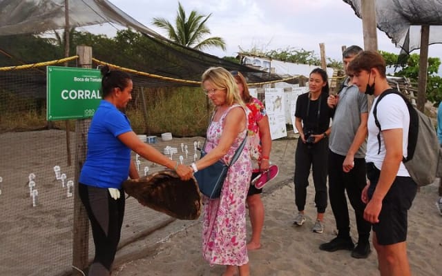 Experiencia de liberación de tortugas marinas y conservación en Puerto Vallarta photo 8