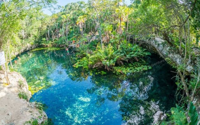 2 Cenotes Private Tour – VIP Adventure with Expert Guide photo 2