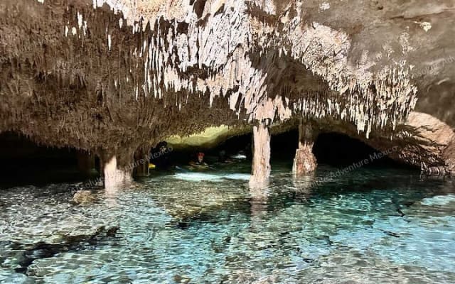 2 Cenotes Private Tour – VIP Adventure with Expert Guide photo 8