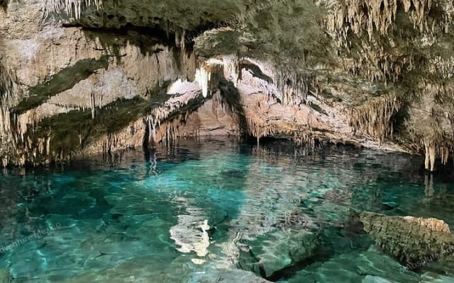 2 Cenotes Private Tour – VIP Adventure with Expert Guide photo 4
