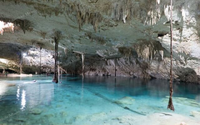 2 Cenotes Private Tour – VIP Adventure with Expert Guide photo 11