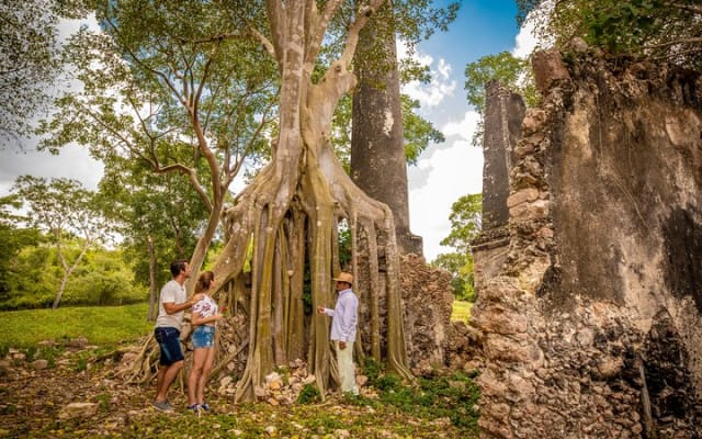 Private Safari Land Rover Vintage Tour Uxmal Ruins & Mayan Brunch photo 10