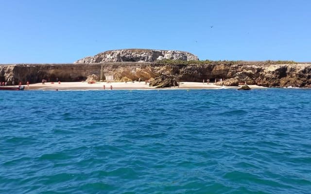 Snorkel & Playa Nopalera • Private Tour • Punta Mita photo 9
