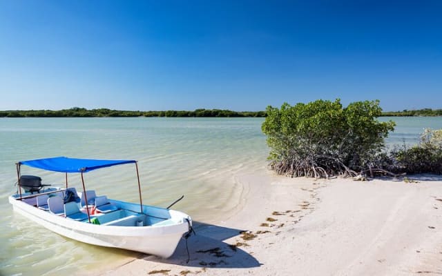 From Cancun: Safari in Rio Lagartos, Coloradas and Mayan Bath photo 4
