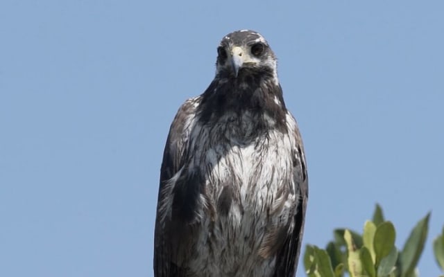Full Day Tour from Tulum to Rio Lagartos photo 12