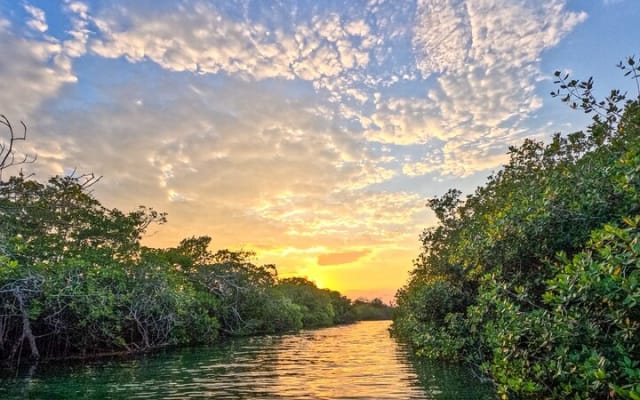 Sian Ka'an Sunset Boat Tour photo 4