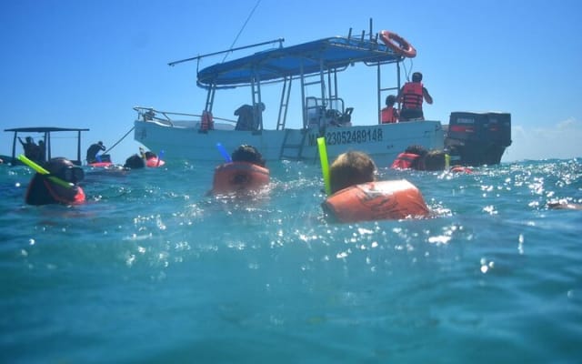 Experience Mayan Snorkeling and Swimming in Lagoon / Cenote in Tulum photo 5
