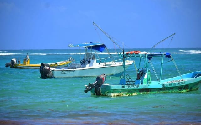 Experience Mayan Snorkeling and Swimming in Lagoon / Cenote in Tulum photo 6