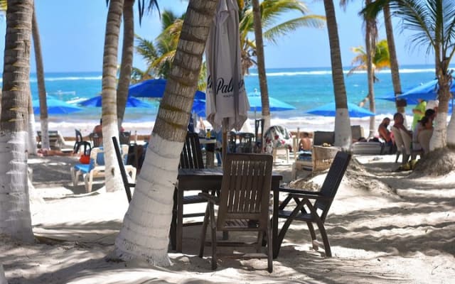 Experience Mayan Snorkeling and Swimming in Lagoon / Cenote in Tulum photo 7