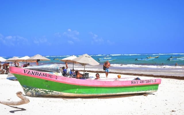 Experience Mayan Snorkeling and Swimming in Lagoon / Cenote in Tulum photo 8