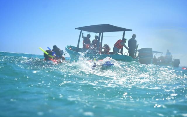 Experience Mayan Snorkeling and Swimming in Lagoon / Cenote in Tulum photo 9