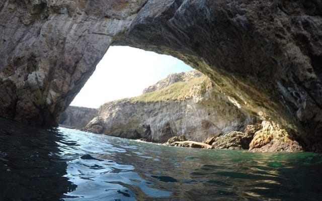 Snorkel & Playa Nopalera • Private Tour • Punta Mita photo 10
