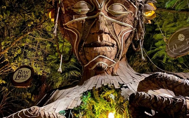 Explore Tulum and Dos Ojos Cenote with lunch and transportation photo 15