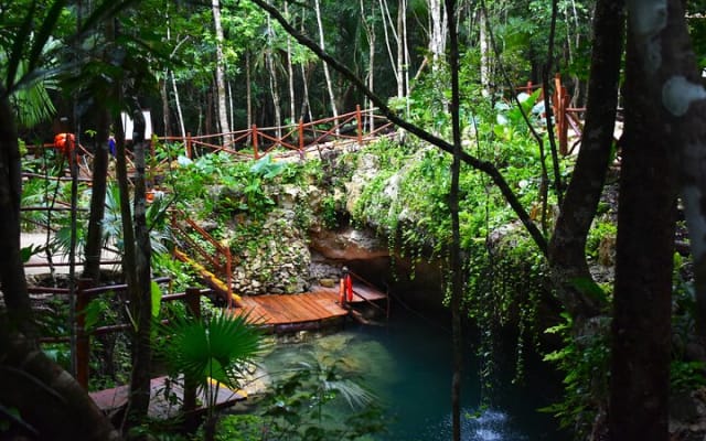 Live the adventure in 3 cenotes in the jungle! photo 3