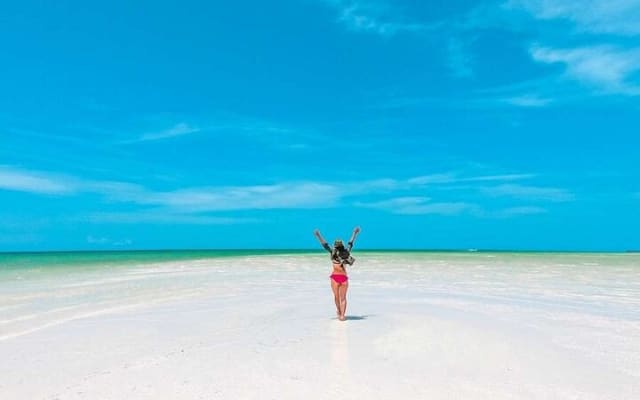 Awesome Holbox Tour. Ferry, Lunch & Punta Mosquito visit included photo 10
