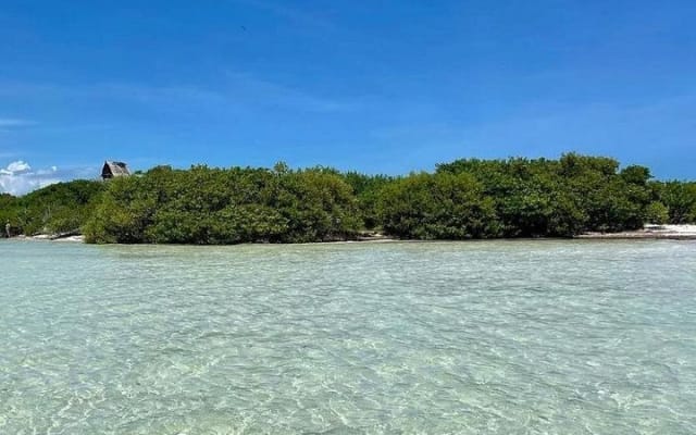 Holbox: Pajaros island, Pasion Island & Punta Mosquito- pick up photo 2