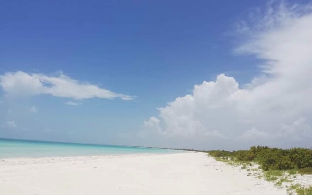Holbox - Fishing & Snorkeling in Cabo Catoche with drinks & snack photo 11