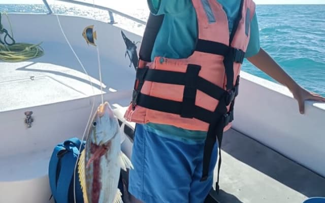 Holbox - Fishing & Snorkeling in Cabo Catoche with drinks & snack photo 7