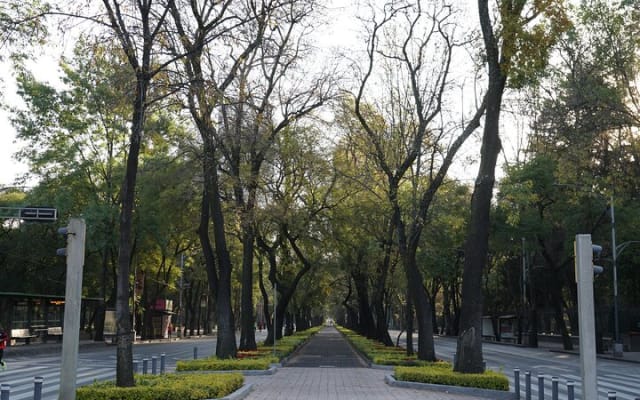 Mexico City: 19 City Highlights Bicycle Tour
