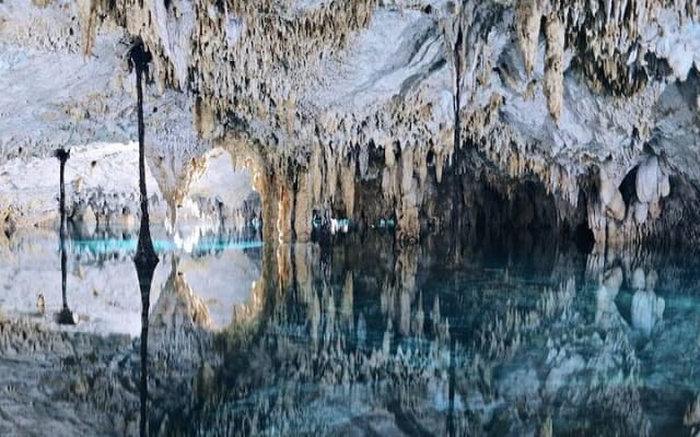 2 Cenotes Guided Snorkeling Adventure in Tulum photo 3