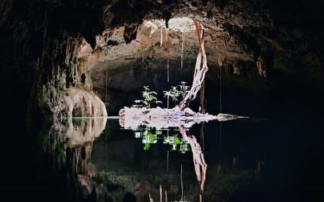 2 Cenotes Guided Snorkeling Adventure in Tulum photo 7
