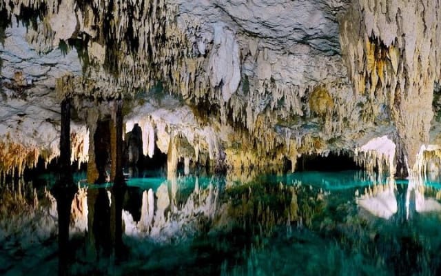 2 Cenotes Guided Snorkeling Adventure in Tulum photo 8
